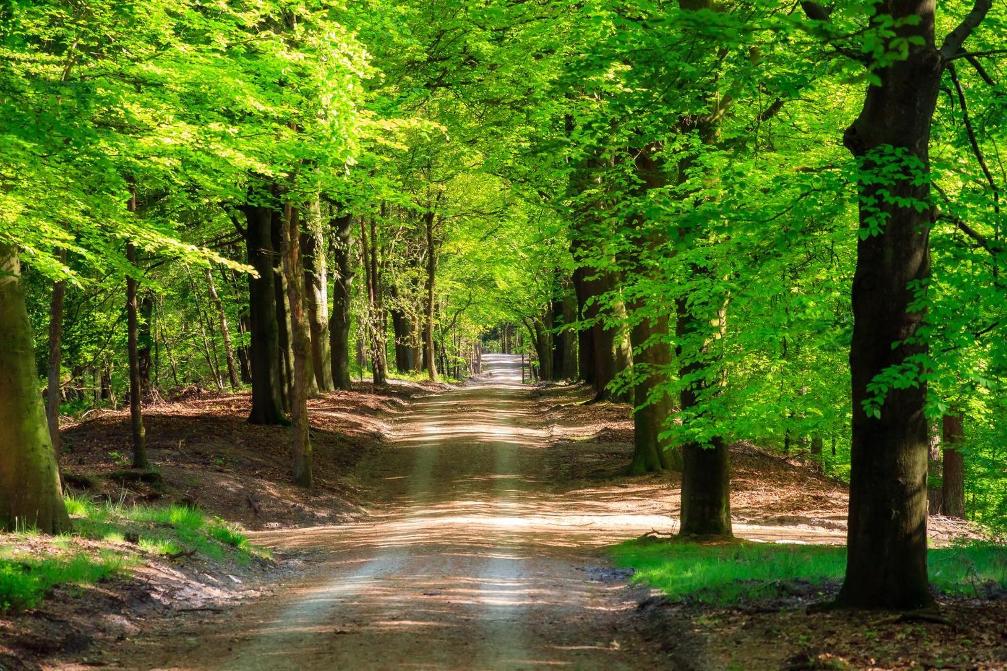 Serendipity - Nature In Luxury Beekbergen Luaran gambar